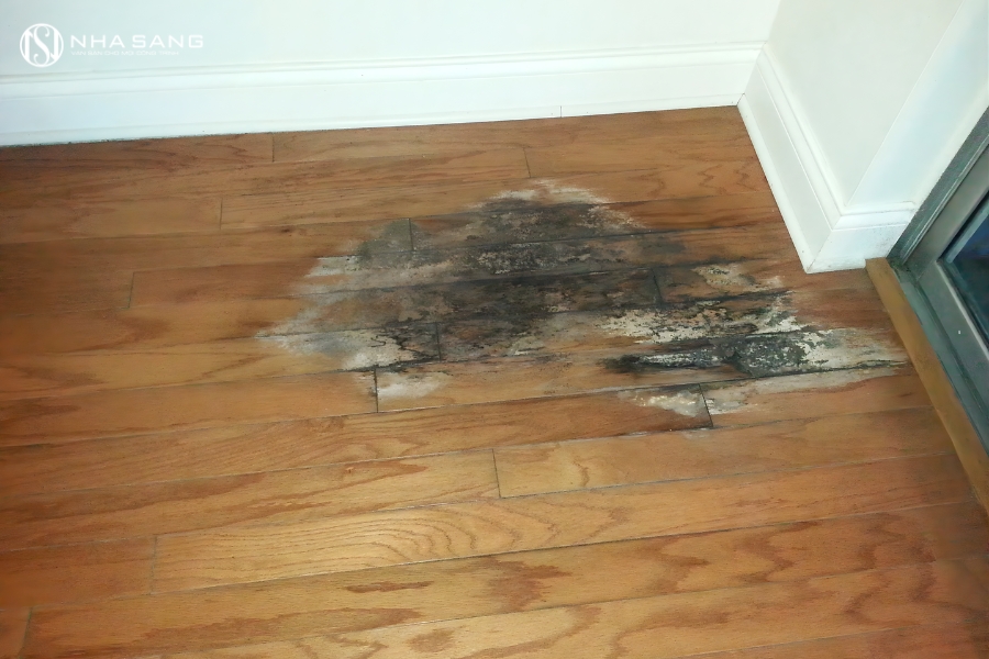Cách Nhận Biết Và Xử Lý Sàn Gỗ Bị Ẩm Kịp Thời
