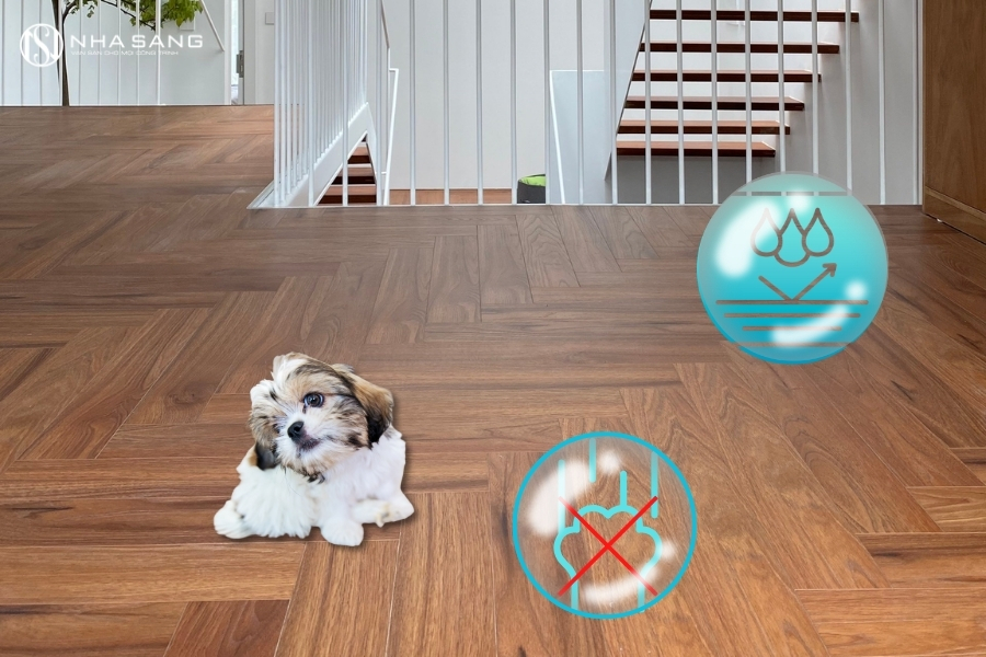 Gợi Ý Sàn Gỗ Cho Nhà Nuôi Thú Cưng Vừa Đẹp Vừa Chống Trơn Trượt