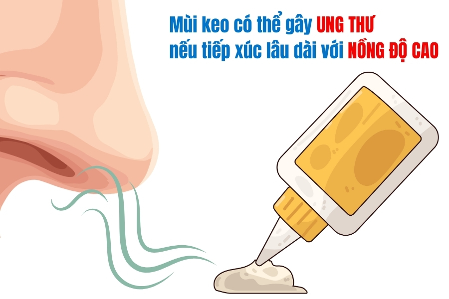 Giải Đáp Thắc Mắc Về Sàn Gỗ Công Nghiệp Có Gây Mùi Keo Không